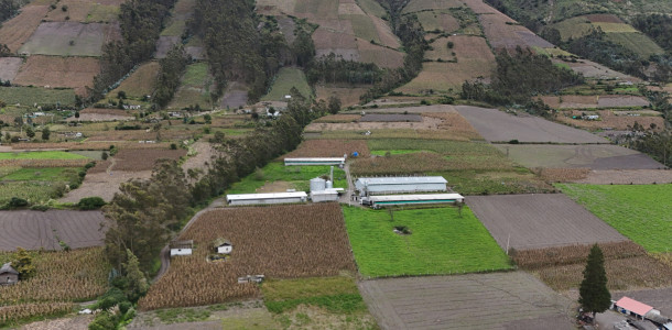 dji 20250602131933 d