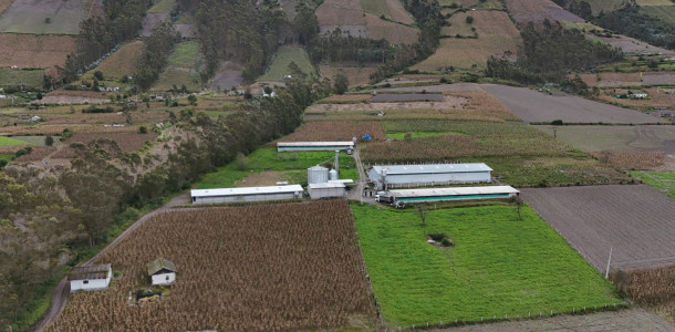 dji 20250602131944 d