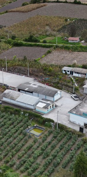 dji 20250602132408 d
