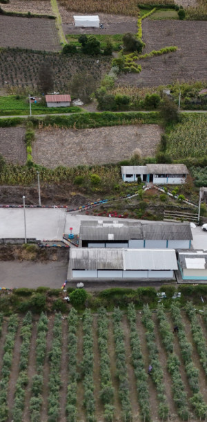 dji 20250602132421 d