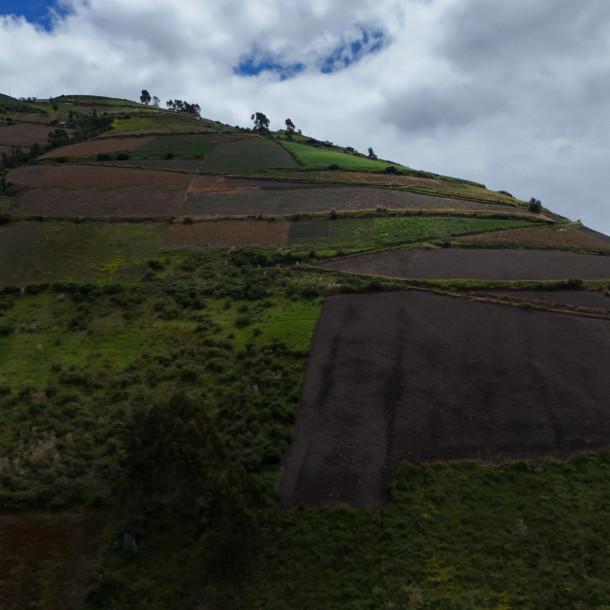 dji 20250602112603 d