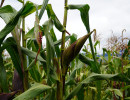 dsc06046