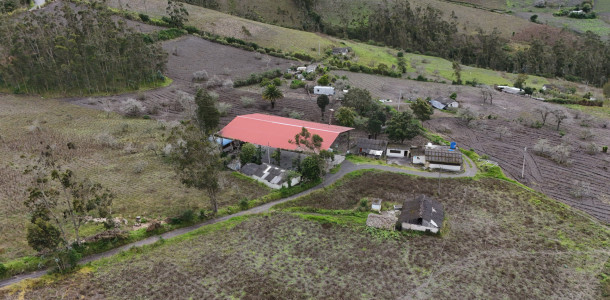 dji 20250602140925 d